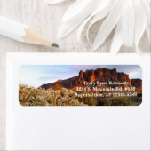 Cholla Cactus Superstition Mountain Arizona Etiket (Insitu)