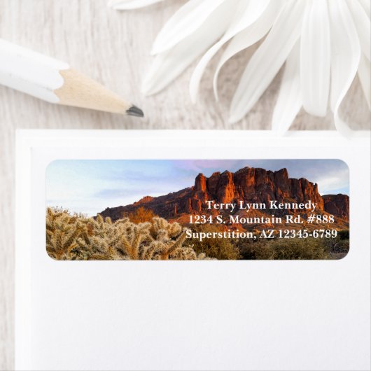 Cholla Cactus Superstition Mountain Arizona Etiket (Insitu)