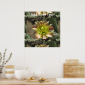 Cholla Desert Flower Bloom Poster (Keuken)