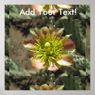 Cholla Desert Flower Bloom Poster
