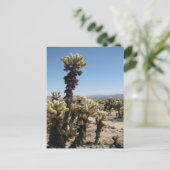 Cholla Garden - Joshua Tree Briefkaart (Staand voorkant)