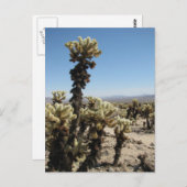 Cholla Garden - Joshua Tree Briefkaart (Voorkant / Achterkant)