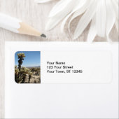 Cholla Garden - Joshua Tree Etiket (Insitu)