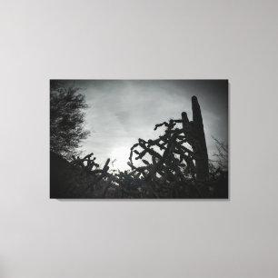 Cholla Sunset Canvas Afdruk