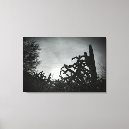 Cholla Sunset Canvas Afdruk (Voorkant)
