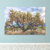 Cholla van geketende vruchten canvas afdruk (Insitu (Houten vloer))