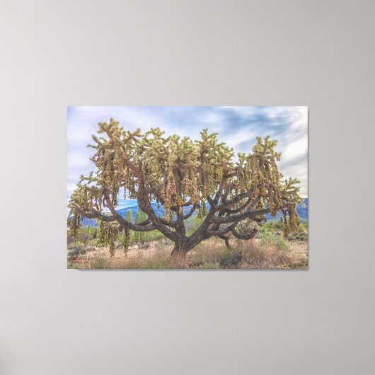 Cholla van geketende vruchten canvas afdruk (Voorkant)