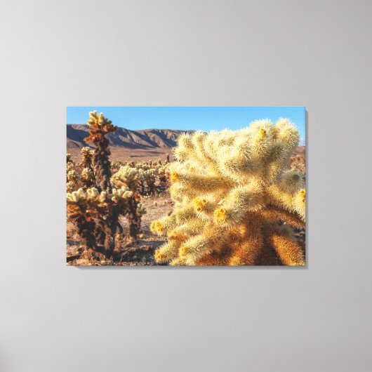 Chollas springen canvas afdruk (Voorkant)