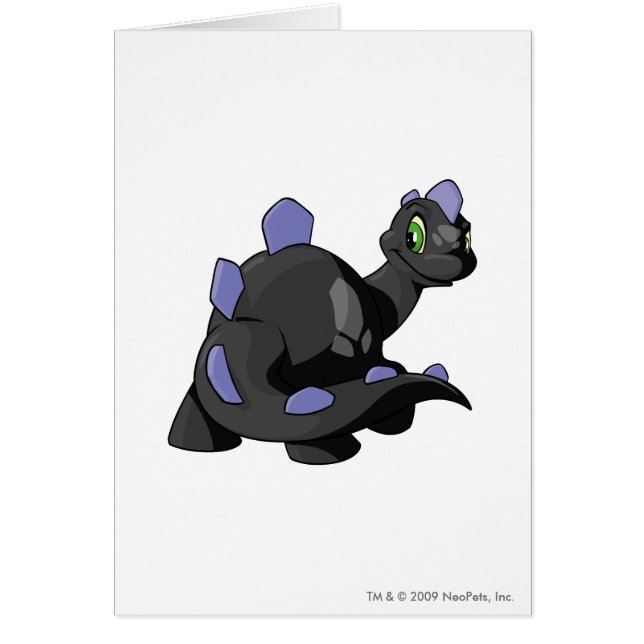 Chomby Shadow (Voorkant)