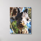 Chompin! Stretched Canvas Print (Voorkant)