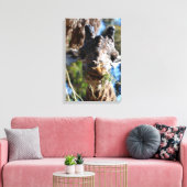 Chompin! Stretched Canvas Print (Insitu (Woonkamer))