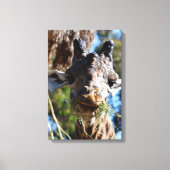 Chompin! Stretched Canvas Print (Voorkant)