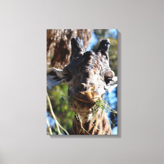 Chompin! Stretched Canvas Print (Voorkant)