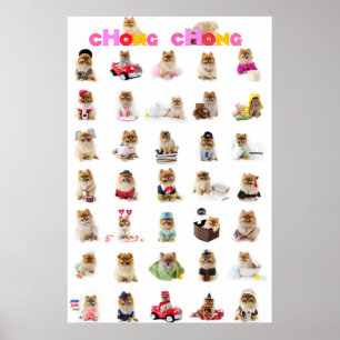 Chong Chong Poster