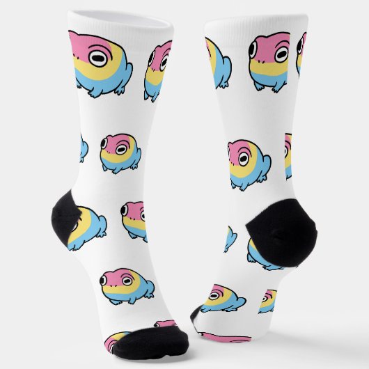 Chonky Pansexual Frog Pride Socks | Cute Pan Pride Sokken (Gebogen)