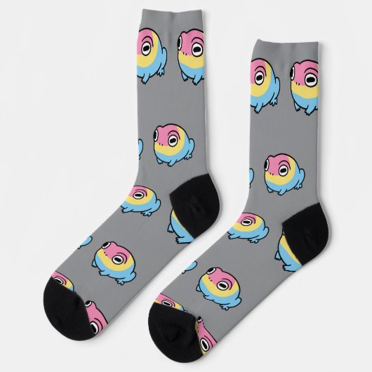 Chonky Pansexual Frog Pride Socks | Cute Pan Pride Sokken (Links)