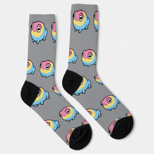 Chonky Pansexual Frog Pride Socks | Cute Pan Pride Sokken (Rechts)