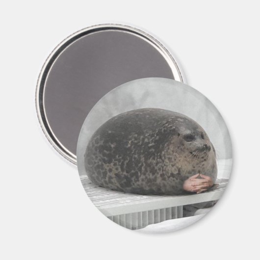 Chonky seal Magnet (Voorkant / Achterkant)