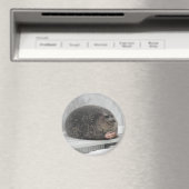 Chonky seal Magnet (Insitu (Vaatwasser))