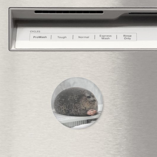 Chonky seal Magnet (Insitu (Vaatwasser))