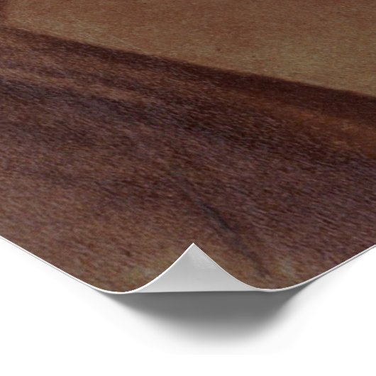 Chopin Portrait Poster (Hoek)