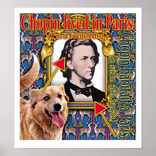 Chopin woonde in Parijs. Poster (Voorkant)
