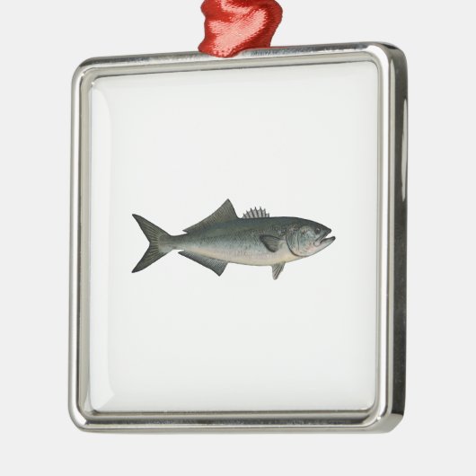 Chopper Bluefish Metalen Ornament (Links)