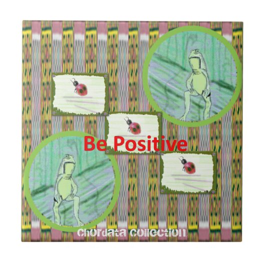 Chordata-Collectie-kikkers en -tapijten Tegeltje (Voorkant)