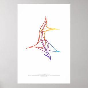 Choreografie uitwisseling: Washington, DC, VS Poster