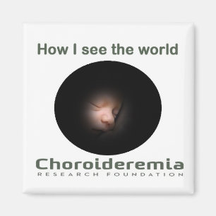 Choroïderemie Hoe ik de wereld zie - Magnet