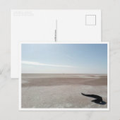 Chott el Djerid (Tunesië) Briefkaart (Voorkant / Achterkant)