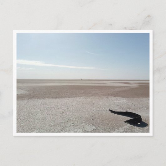 Chott el Djerid (Tunesië) Briefkaart (Voorkant)