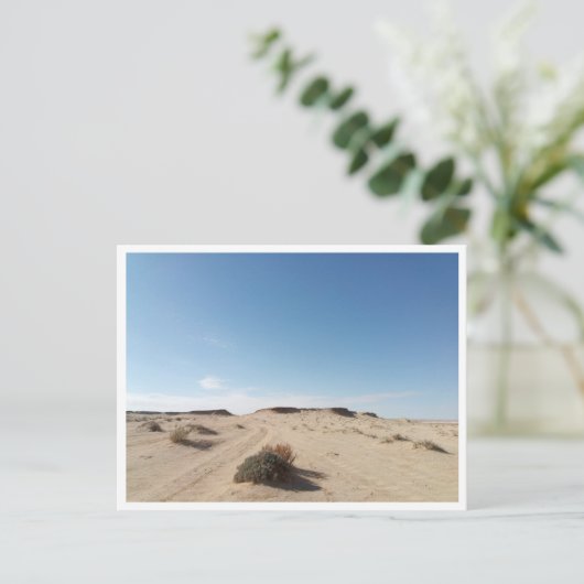 Chott el Gharsa (Tunesië) Briefkaart (Staand voorkant)
