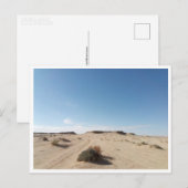Chott el Gharsa (Tunesië) Briefkaart (Voorkant / Achterkant)