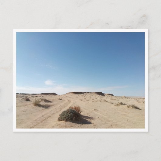 Chott el Gharsa (Tunesië) Briefkaart (Voorkant)