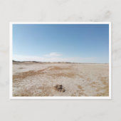 Chott el Gharsa (Tunesië) Briefkaart (Voorkant)