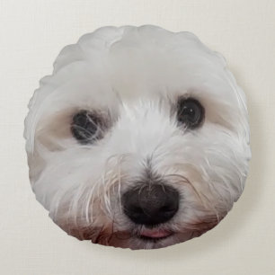 Choupy Maltese Rond Kussen