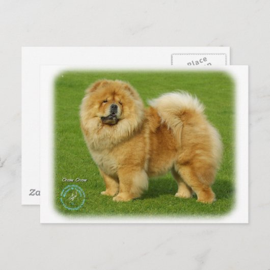 Chow 9B008D-17 Briefkaart (Voorkant / Achterkant)