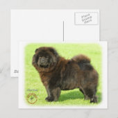 Chow 9B011D-08 Briefkaart (Voorkant / Achterkant)