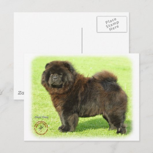 Chow 9B011D-08 Briefkaart (Voorkant / Achterkant)