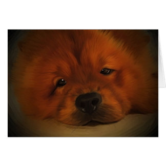 Chow Chow