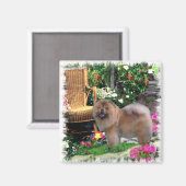Chow Chow Art Gifts Magneet (Voorkant / Achterkant)