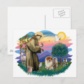 Chow Chow (B) Briefkaart (Voorkant / Achterkant)