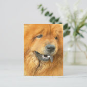 Chow Chow Briefkaart (Staand voorkant)