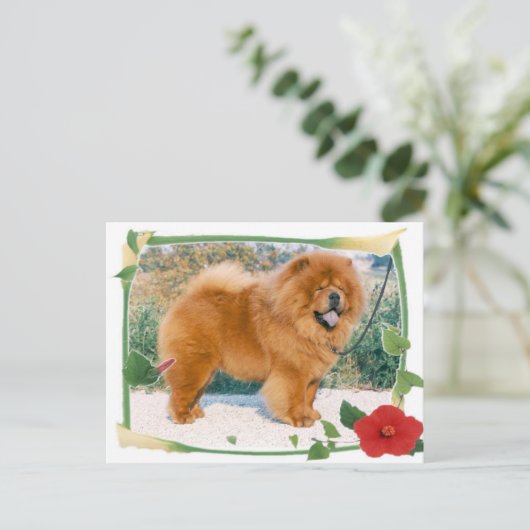 Chow-Chow Briefkaart (Staand voorkant)