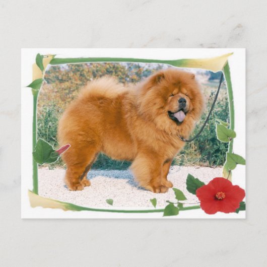 Chow-Chow Briefkaart (Voorkant)