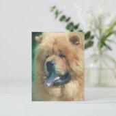Chow Chow Briefkaart (Staand voorkant)