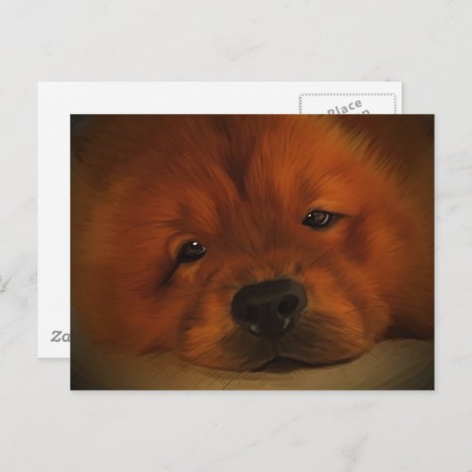 Chow Chow Briefkaart (Voorkant / Achterkant)
