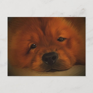 Chow Chow Briefkaart