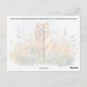 Chow Chow - Briefkaart (Achterkant)
